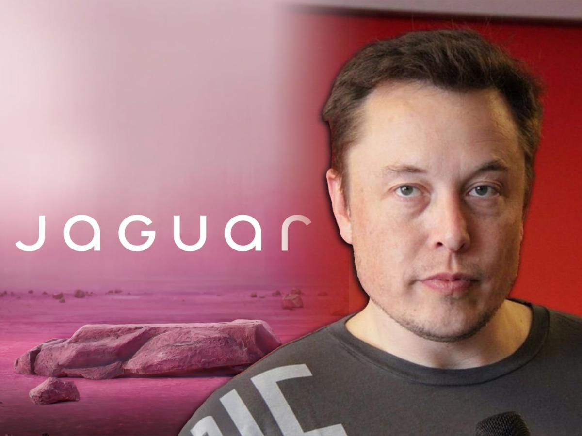 Elon Musk Takes A Jab At Jaguar's New Logo, Jaguar Replies... TimelineDaily