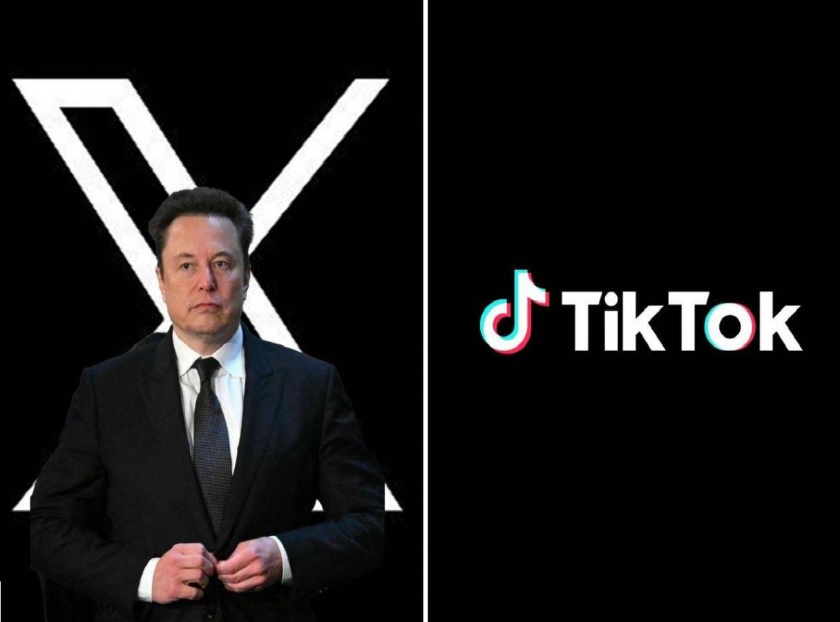 Is Elon Musk Buying TikTok? What Do We Know TimelineDaily